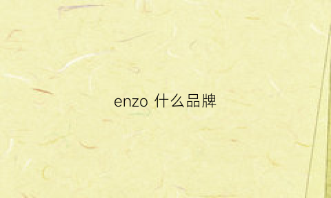 enzo 什么品牌